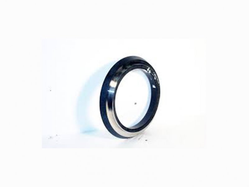 wear ring 1